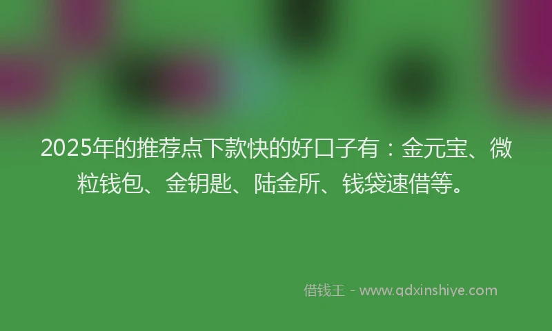 2025年的推荐点下款快的好口子有：金元宝、微粒钱包、金钥匙、陆金所、钱袋速借等。