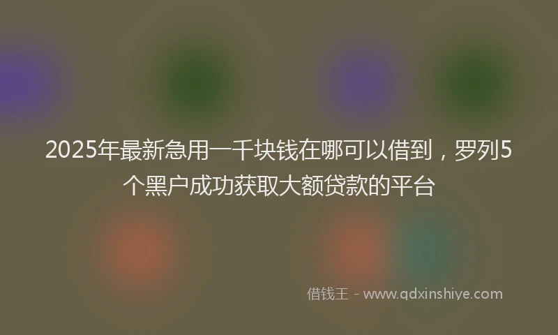 2025年最新急用一千块钱在哪可以借到，罗列5个黑户成功获取大额贷款的平台