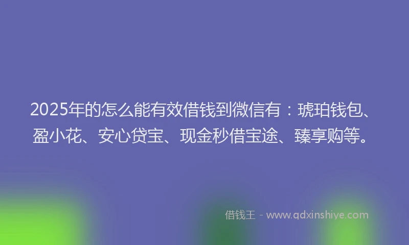 2025年的怎么能有效借钱到微信有：琥珀钱包、盈小花、安心贷宝、现金秒借宝途、臻享购等。