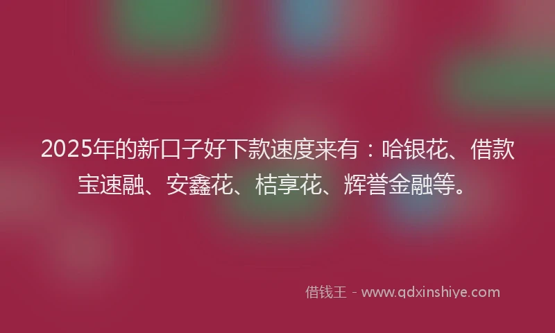 2025年的新口子好下款速度来有：哈银花、借款宝速融、安鑫花、桔享花、辉誉金融等。