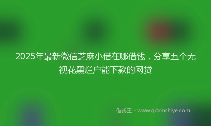 2025年最新微信芝麻小借在哪借钱，分享五个无视花黑烂户能下款的网贷