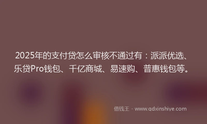 2025年的支付贷怎么审核不通过有：派派优选、乐贷Pro钱包、千亿商城、易速购、普惠钱包等。