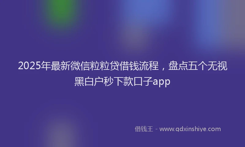 2025年最新微信粒粒贷借钱流程，盘点五个无视黑白户秒下款口子app