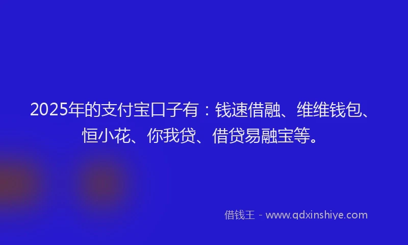 2025年的支付宝口子有：钱速借融、维维钱包、恒小花、你我贷、借贷易融宝等。