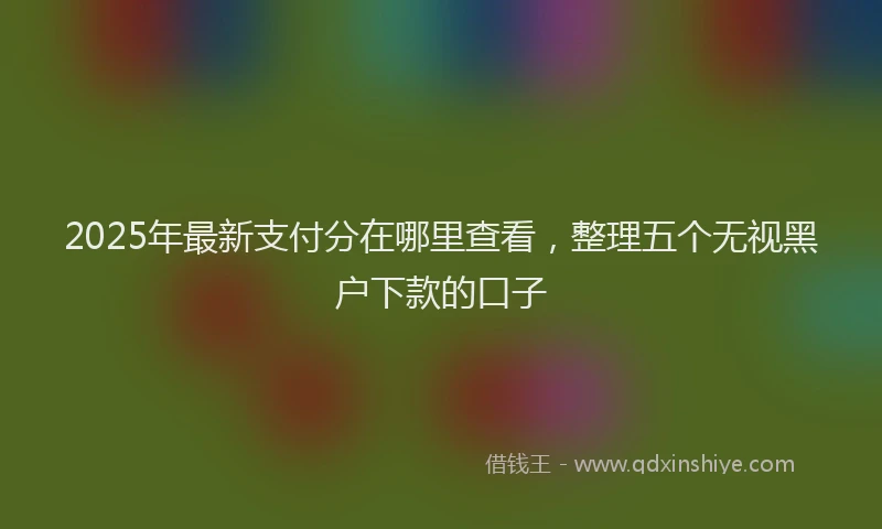 2025年最新支付分在哪里查看，整理五个无视黑户下款的口子