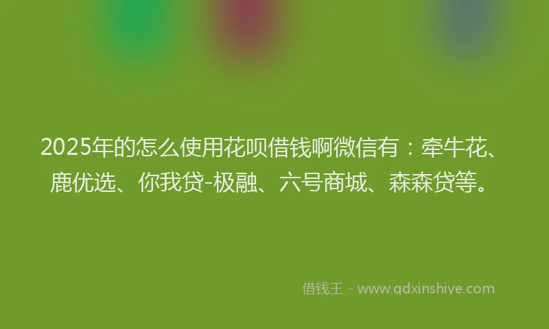 2025年的怎么使用花呗借钱啊微信有：牵牛花、鹿优选、你我贷-极融、六号商城、森森贷等。