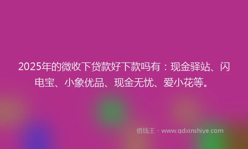 2025年的微收下贷款好下款吗有：现金驿站、闪电宝、小象优品、现金无忧、爱小花等。