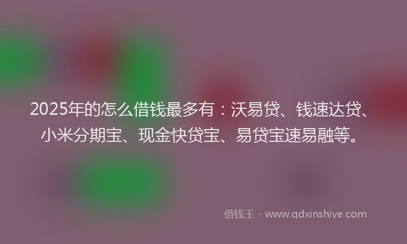 2025年的怎么借钱最多有：沃易贷、钱速达贷、小米分期宝、现金快贷宝、易贷宝速易融等。
