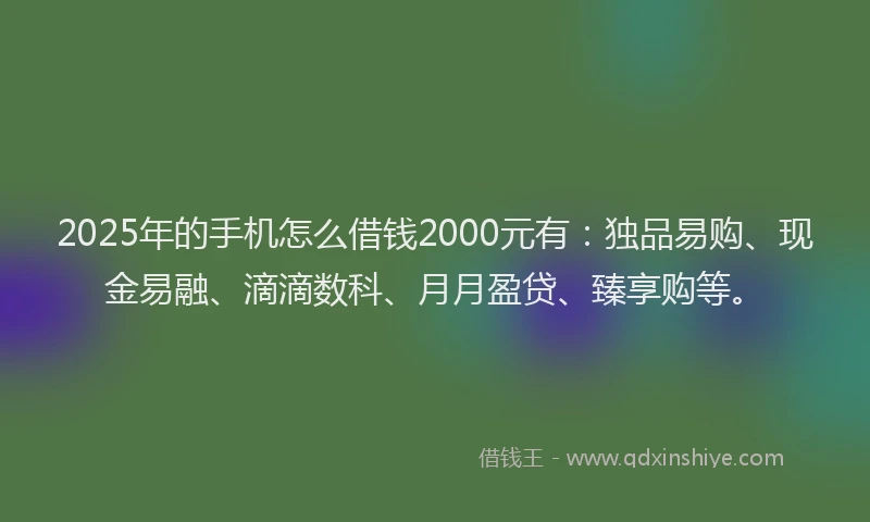 2025年的手机怎么借钱2000元有：独品易购、现金易融、滴滴数科、月月盈贷、臻享购等。