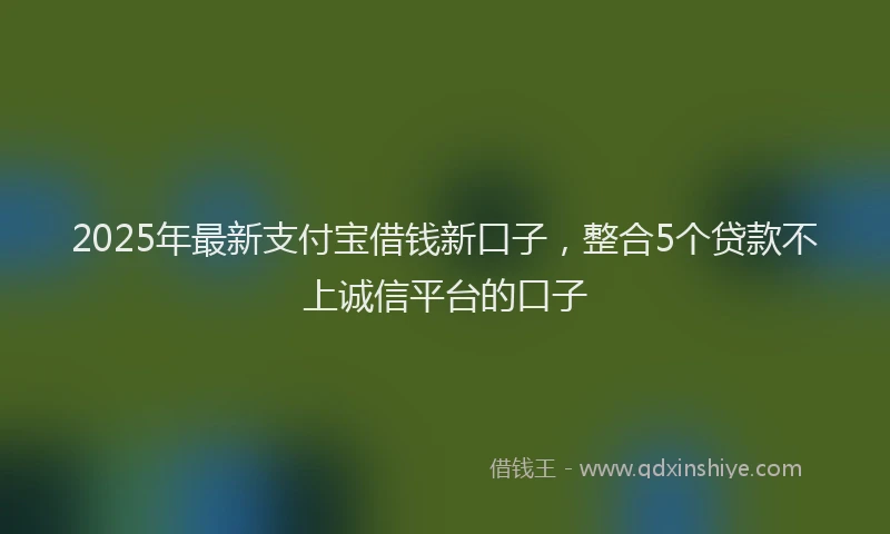 2025年最新支付宝借钱新口子，整合5个贷款不上诚信平台的口子