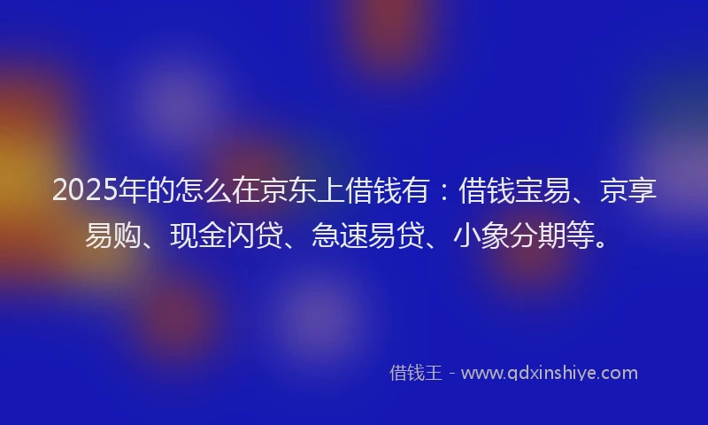 2025年的怎么在京东上借钱有：借钱宝易、京享易购、现金闪贷、急速易贷、小象分期等。