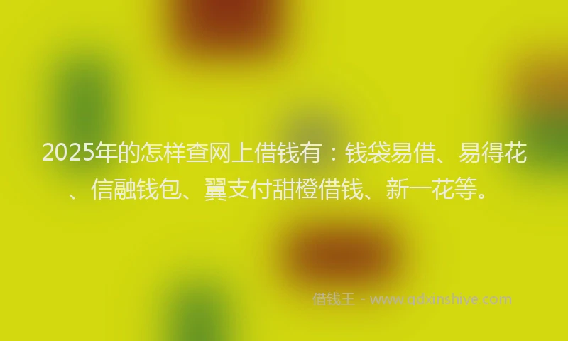 2025年的怎样查网上借钱有：钱袋易借、易得花、信融钱包、翼支付甜橙借钱、新一花等。
