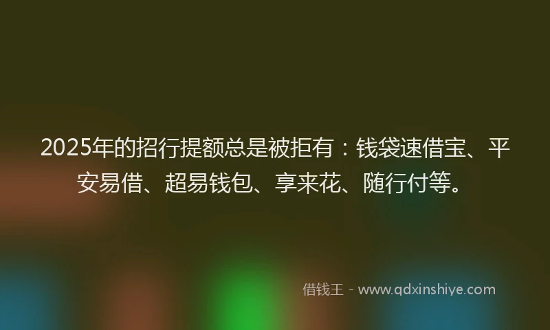 2025年的招行提额总是被拒有：钱袋速借宝、平安易借、超易钱包、享来花、随行付等。