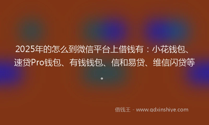 2025年的怎么到微信平台上借钱有：小花钱包、速贷Pro钱包、有钱钱包、信和易贷、维信闪贷等。