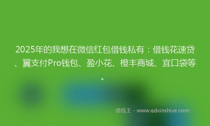 2025年的我想在微信红包借钱私有：借钱花速贷、翼支付Pro钱包、盈小花、橙丰商城、宜口袋等。