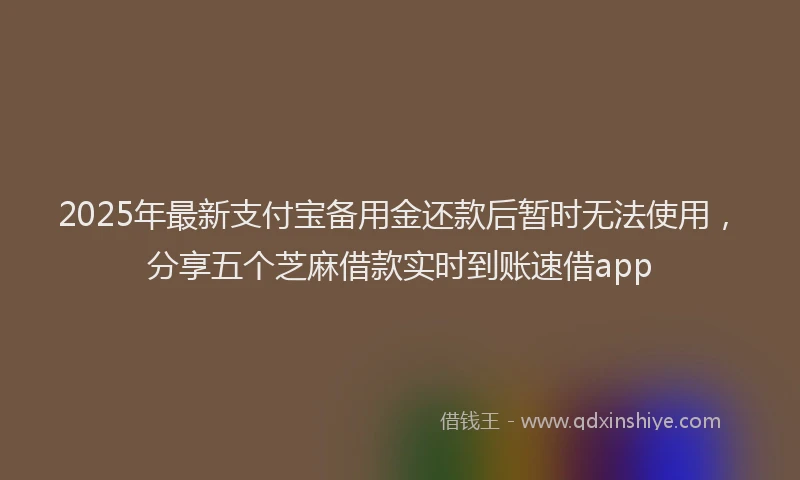 2025年最新支付宝备用金还款后暂时无法使用，分享五个芝麻借款实时到账速借app