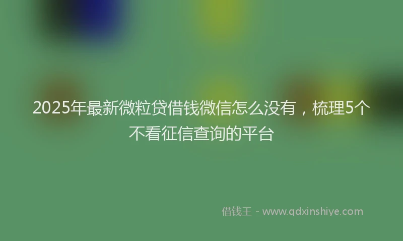 2025年最新微粒贷借钱微信怎么没有，梳理5个不看征信查询的平台