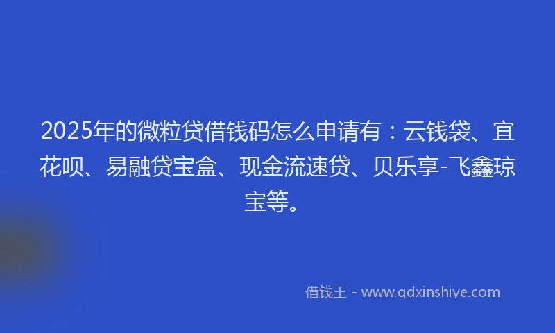 2025年的微粒贷借钱码怎么申请有：云钱袋、宜花呗、易融贷宝盒、现金流速贷、贝乐享-飞鑫琼宝等。