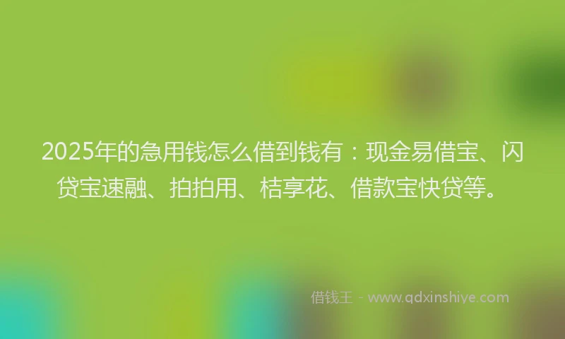 2025年的急用钱怎么借到钱有：现金易借宝、闪贷宝速融、拍拍用、桔享花、借款宝快贷等。