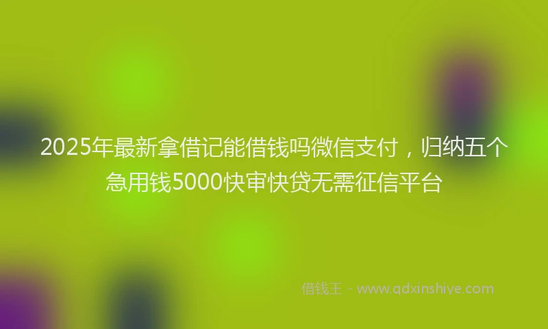 2025年最新拿借记能借钱吗微信支付，归纳五个急用钱5000快审快贷无需征信平台