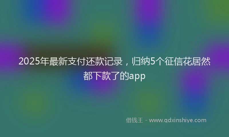 2025年最新支付还款记录，归纳5个征信花居然都下款了的app