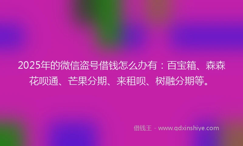 2025年的微信盗号借钱怎么办有：百宝箱、森森花呗通、芒果分期、来租呗、树融分期等。