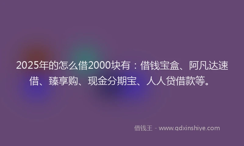 2025年的怎么借2000块有：借钱宝盒、阿凡达速借、臻享购、现金分期宝、人人贷借款等。