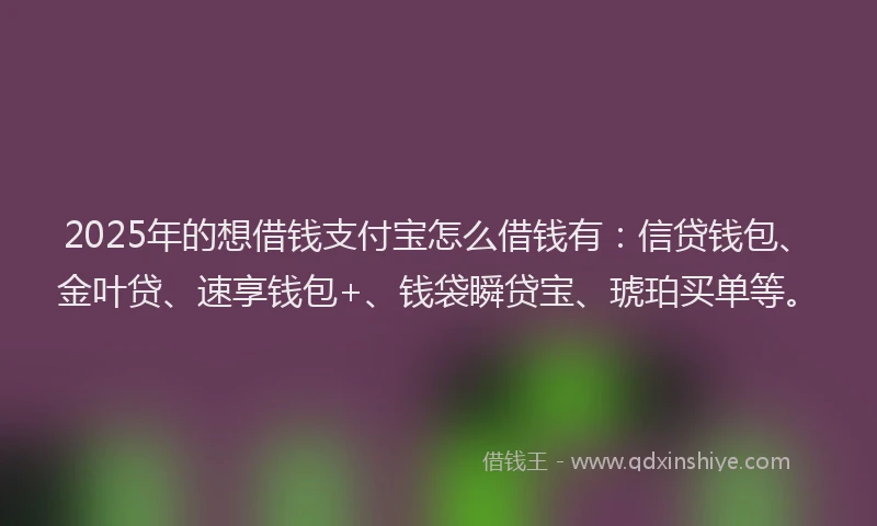 2025年的想借钱支付宝怎么借钱有：信贷钱包、金叶贷、速享钱包+、钱袋瞬贷宝、琥珀买单等。