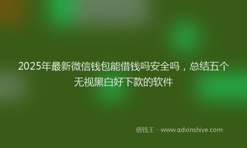 2025年最新微信钱包能借钱吗安全吗，总结五个无视黑白好下款的软件