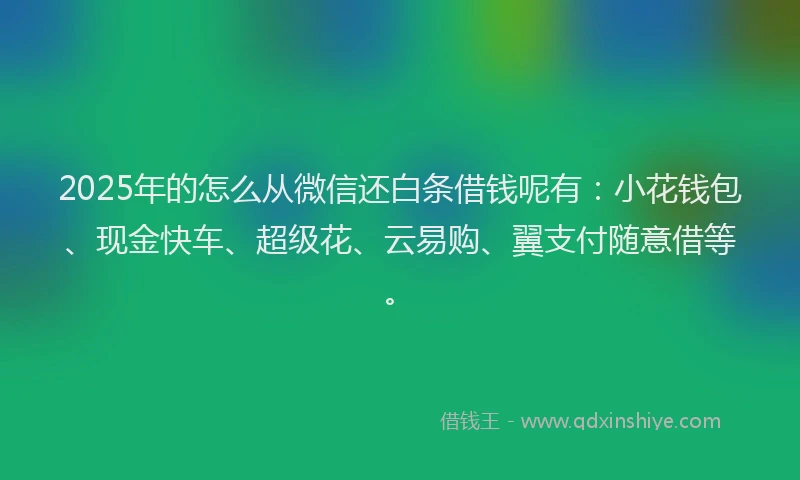 2025年的怎么从微信还白条借钱呢有：小花钱包、现金快车、超级花、云易购、翼支付随意借等。