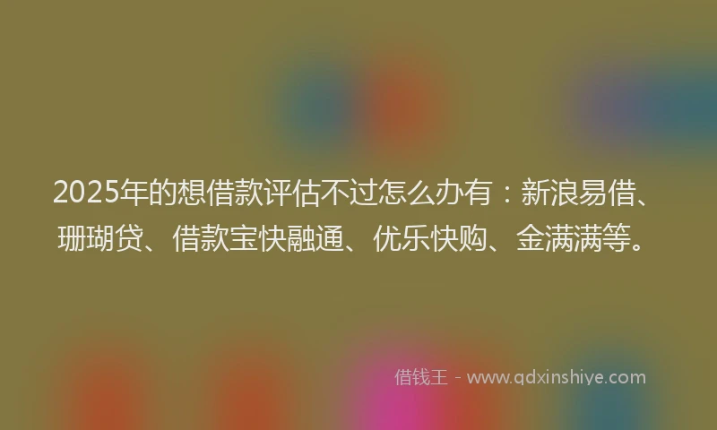 2025年的想借款评估不过怎么办有：新浪易借、珊瑚贷、借款宝快融通、优乐快购、金满满等。