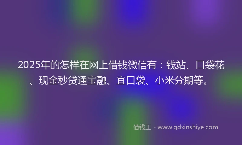 2025年的怎样在网上借钱微信有：钱站、口袋花、现金秒贷通宝融、宜口袋、小米分期等。
