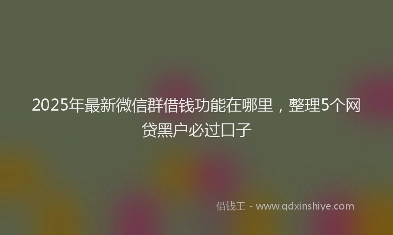 2025年最新微信群借钱功能在哪里，整理5个网贷黑户必过口子