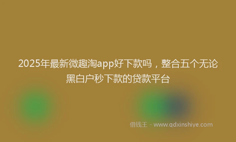 2025年最新微趣淘app好下款吗，整合五个无论黑白户秒下款的贷款平台