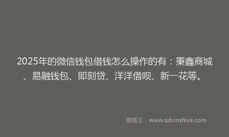 2025年的微信钱包借钱怎么操作的有：秉鑫商城、易融钱包、即刻贷、洋洋借呗、新一花等。