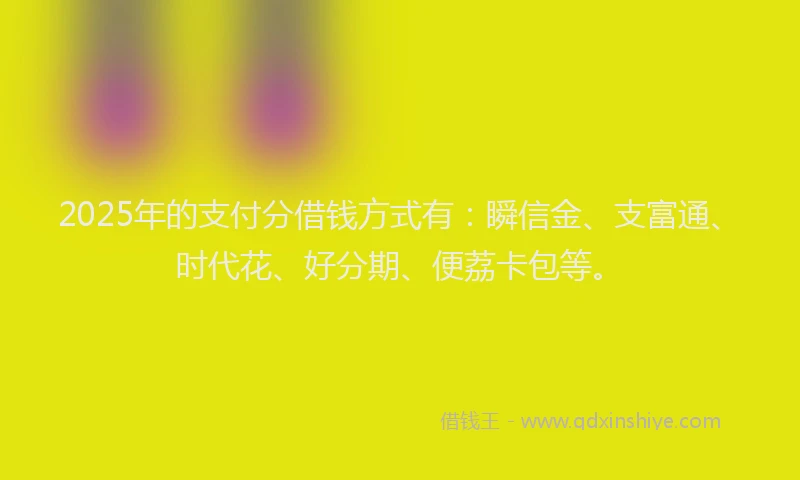 2025年的支付分借钱方式有：瞬信金、支富通、时代花、好分期、便荔卡包等。