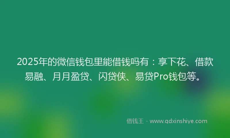 2025年的微信钱包里能借钱吗有：享下花、借款易融、月月盈贷、闪贷侠、易贷Pro钱包等。