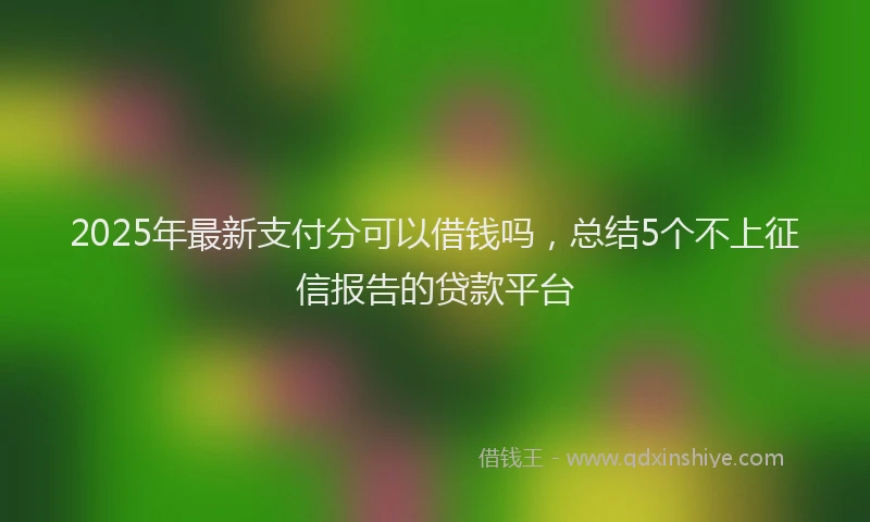 2025年最新支付分可以借钱吗，总结5个不上征信报告的贷款平台