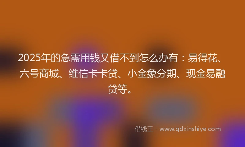 2025年的急需用钱又借不到怎么办有：易得花、六号商城、维信卡卡贷、小金象分期、现金易融贷等。