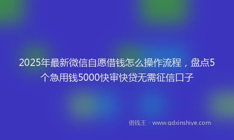 2025年最新微信自愿借钱怎么操作流程，盘点5个急用钱5000快审快贷无需征信口子