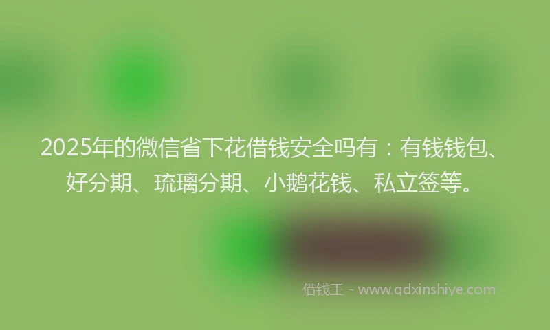 2025年的微信省下花借钱安全吗有：有钱钱包、好分期、琉璃分期、小鹅花钱、私立签等。