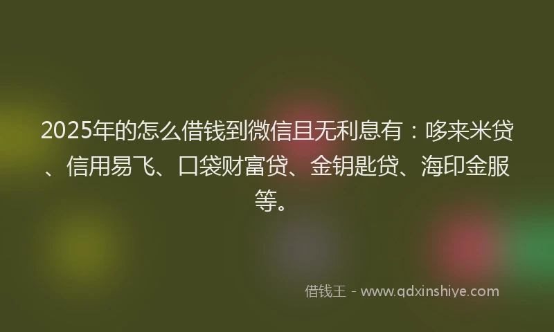 2025年的怎么借钱到微信且无利息有：哆来米贷、信用易飞、口袋财富贷、金钥匙贷、海印金服等。