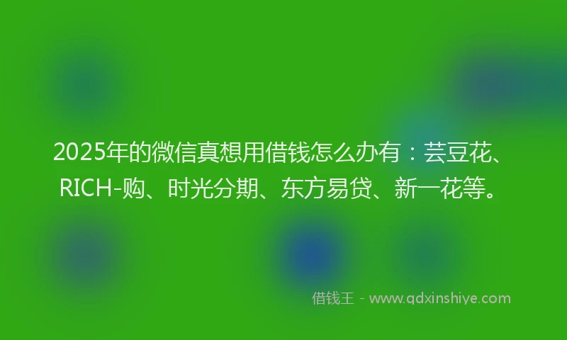 2025年的微信真想用借钱怎么办有：芸豆花、RICH-购、时光分期、东方易贷、新一花等。
