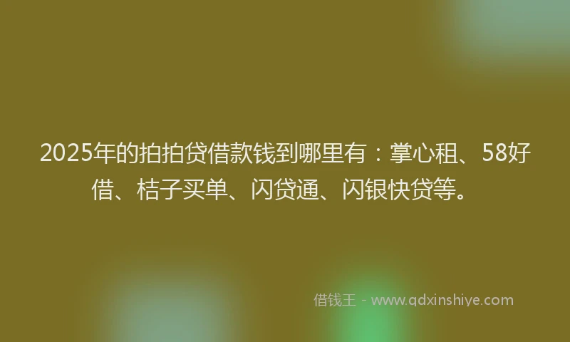 2025年的拍拍贷借款钱到哪里有：掌心租、58好借、桔子买单、闪贷通、闪银快贷等。