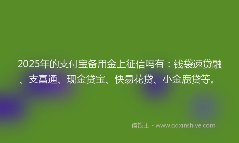 2025年的支付宝备用金上征信吗有：钱袋速贷融、支富通、现金贷宝、快易花贷、小金鹿贷等。