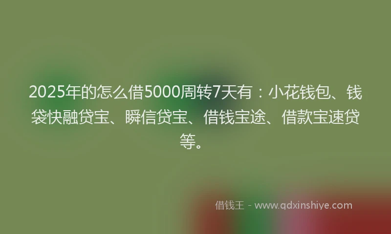 2025年的怎么借5000周转7天有：小花钱包、钱袋快融贷宝、瞬信贷宝、借钱宝途、借款宝速贷等。