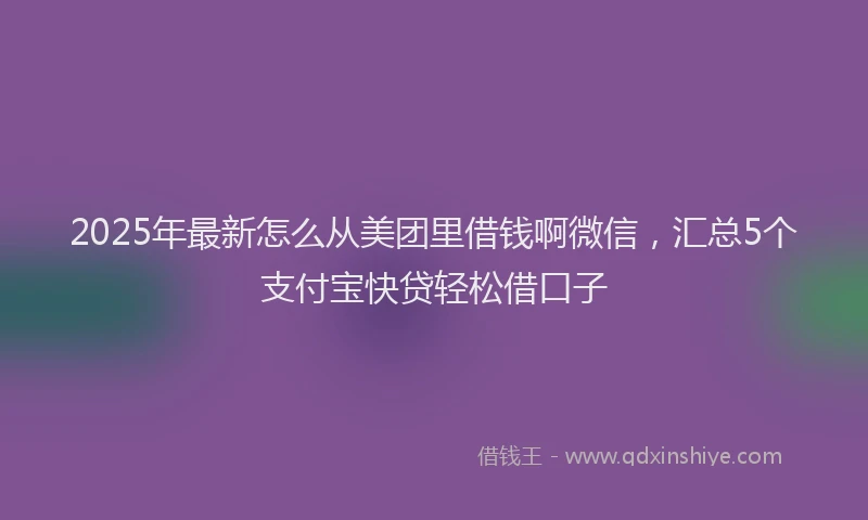2025年最新怎么从美团里借钱啊微信，汇总5个支付宝快贷轻松借口子