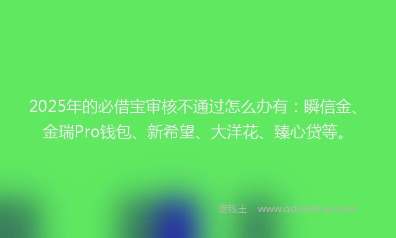 2025年的必借宝审核不通过怎么办有：瞬信金、金瑞Pro钱包、新希望、大洋花、臻心贷等。