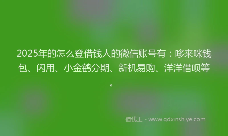 2025年的怎么登借钱人的微信账号有：哆来咪钱包、闪用、小金鹤分期、新机易购、洋洋借呗等。