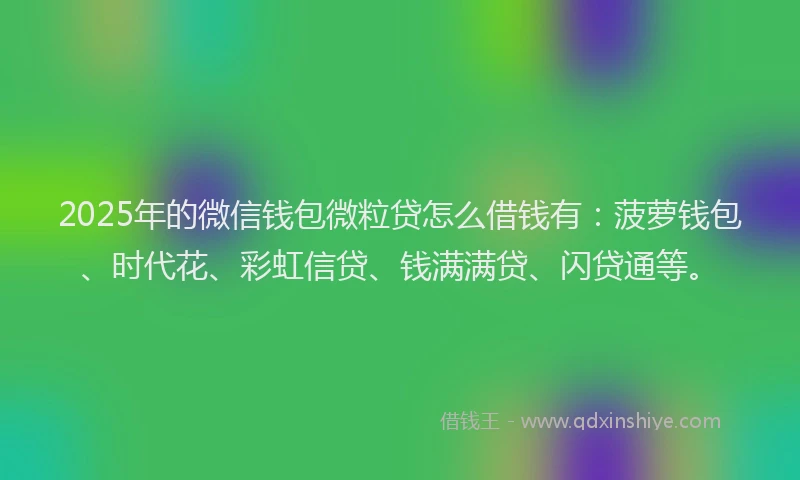 2025年的微信钱包微粒贷怎么借钱有：菠萝钱包、时代花、彩虹信贷、钱满满贷、闪贷通等。